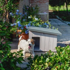 FERPLAST - Niche pour extérieur, maison pour chiens argo 60 en bois fsc avec vernis atoxique, résistant aux u.v.