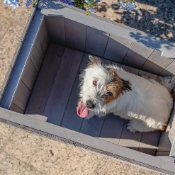 FERPLAST - Niche pour extérieur, maison pour chiens argo 60 en bois fsc avec vernis atoxique, résistant aux u.v.