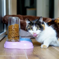 Ferplast distributeur de nourriture ou d'eau pour chiens et chats azimut 600, distributeur de nourriture sèche ou eau 0,6 litre,