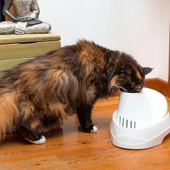 Ferplast fontaine pour chats et chiens de petite taille vega, 2 litres, avec protection antibactérienne permanente, effet source