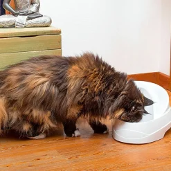 Ferplast fontaine pour chats et chiens de petite taille vega, 2 litres, avec protection antibactérienne permanente, effet source