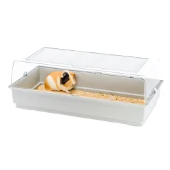 Ferplast maxi duna cage pour rongeurs pour hamsters, cochons d'inde, cochons d'inde, lapins, en plastique. 99x51,5xh36cm