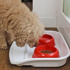 Ferplast plateau avec écuelles pour chats et chiens lindo double écuelle pour animaux, base en plastique résistant, pieds