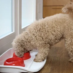 Ferplast plateau avec écuelles pour chats et chiens lindo double écuelle pour animaux, base en plastique résistant, pieds