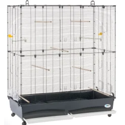 Ferplast volière cage à oiseaux planeta large grande cage pour canaris, pinsons, perruches ondulées, inséparables, métal,