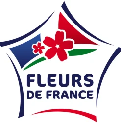 FLEURON D'ANJOU - Plant de Menthe verte - Plant aromatique - pot de 1L