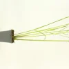 FLEURON D'ANJOU - Plant de Citronnelle de madagascar pac pot 1l