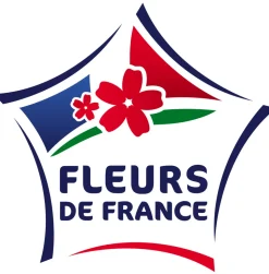 FLEURON D'ANJOU - Sauge de graham pot 1 l