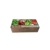 FLOREX - Carré de potager légumes avec mini serres