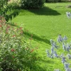 FLORIVERT - Engrais flori or kz 20 kg améliore l'absorption des nutriments, pour sol scarifié - florivert neg01887
