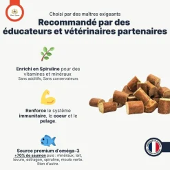 FRANCE CROQUETTES - Bouchées au saumon 300g - france croquettes