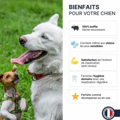 FRANCE CROQUETTES - Bâtonnets de buffle (chiot et senior) - 300gr - france croquettes