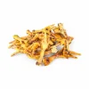 FRANCE CROQUETTES - France croquettes - pattes de poulet 500g x2