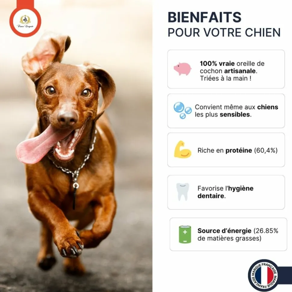 FRANCE CROQUETTES - Oreille de porc 500g - france croquettes