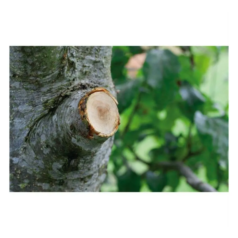 GARDENA - Coupe-branches à enclume smartcut comfort gardena