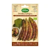 GÉNÉRIQUE - Sachet de graines eco haricots buenos aires red agreen
