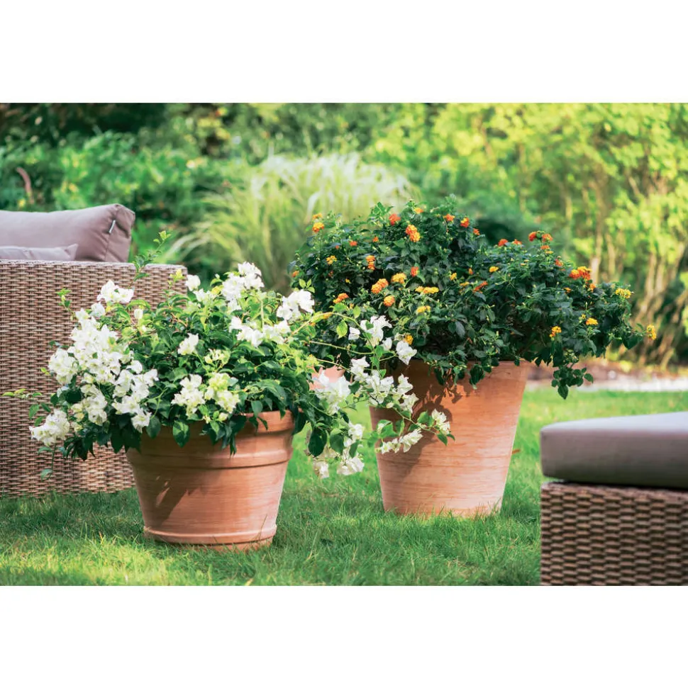 GOICOECHEA - Cuvier Contemporain en terre cuite Ø 47 x H. 48cm