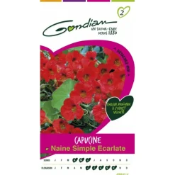 GONDIAN - Capucine naine simple escarlate