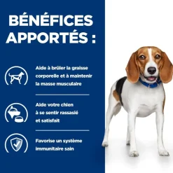 HILL'S - Croquettes chien adult prescription diets r/d weight loss - hill's 10 kg
