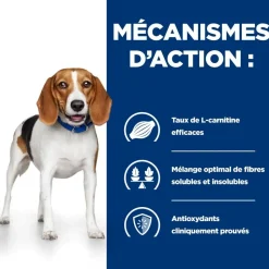 HILL'S - Croquettes chien adult prescription diets r/d weight loss - hill's 10 kg