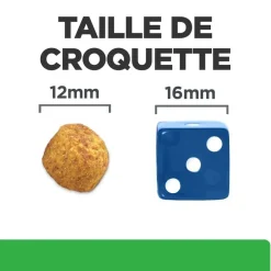 HILL'S - Croquettes chien adult prescription diets r/d weight loss - hill's 10 kg