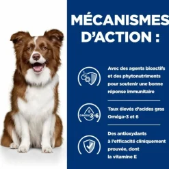 HILL'S - Croquettes chien adult prescription diets derm defense - hill's 12 kg