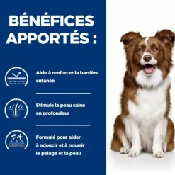 HILL'S - Croquettes chien adult prescription diets derm defense - hill's 4 kg