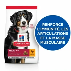 HILL'S - Croquettes chien science plan adulte large poulet - hill's 18 kg