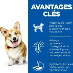 HILL'S - Croquettes chien science plan adult small & mini poulet - hill's 6 kg