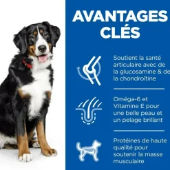 HILL'S - Croquettes chien science plan adulte large poulet - hill's 14 kg