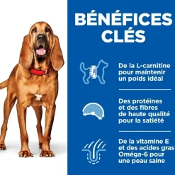 HILL'S - Croquettes chien science plan adult mature 7+ light poulet - hill's 7 kg