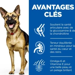 HILL'S - Croquettes chien sénior de grande taille au poulet - 18 kg