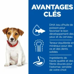 HILL'S - Science plan puppy small / mini poulet - hill's 3 kg