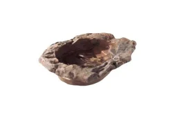 HOBBY - Gamelle enfouissable - terrapond 35 x 29 x 7 cm - abreuvoir pour reptiles (lézards, serpents, tortues), amphibiens et invertébré
