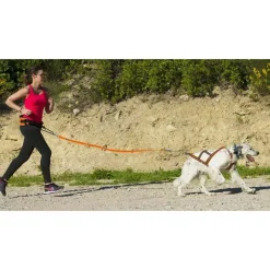 IDOG - Harnais de canicross pour chien X-Back One I-Dog L