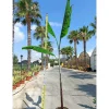 JARDINTROPIC - Bananier musa cheesmanii