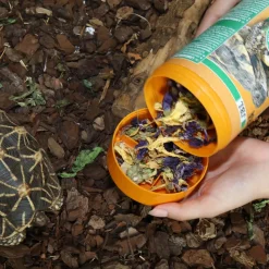 JBL - Florsil, alimentation pour tortues terrestres : 250ml