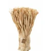 J-LINE - Bouquet de fleurs séchées en bois naturel 18x18x43 cm