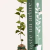 JUSTE UN ARBRE. - Noisetier | offrez un arbre pour célébrer les grands moments de vie (naissance, mariage). Un cadeau unique.