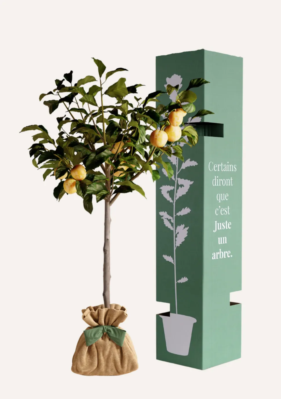 JUSTE UN ARBRE. - Prunier "reine claude dorée" | idée cadeau : naissance, mariage, anniversaire, baptême