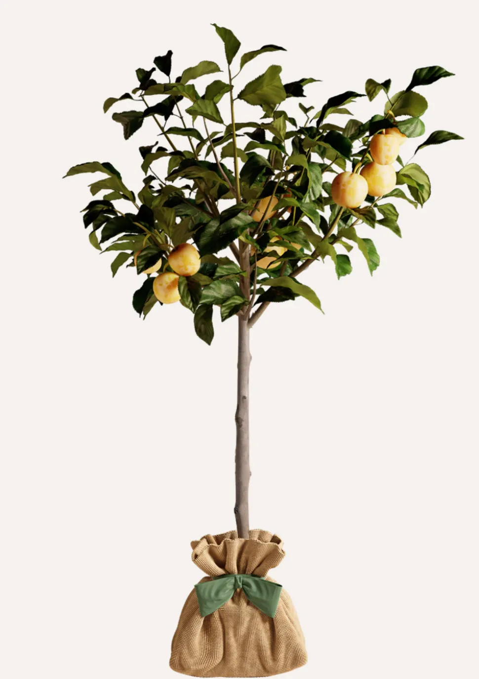 JUSTE UN ARBRE. - Prunier "reine claude dorée" | idée cadeau : naissance, mariage, anniversaire, baptême