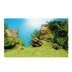 JUWEL - Juwel Poster L : 100 x 50 cm