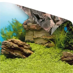 JUWEL - Juwel Poster XL : 150 x 60 cm