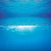 JUWEL - Poster de fond d'aquarium 2 xl : 150 x 60cm