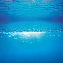 JUWEL - Poster de fond d'aquarium 2 s : 60x30 cm