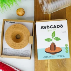 Kit : faire pousser son avocat à la maison