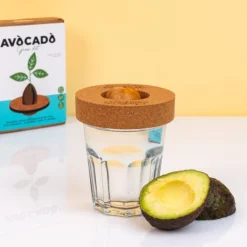 Kit : faire pousser son avocat à la maison