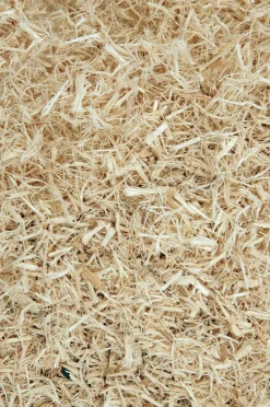 KOMODO - Komodo aspen bed 6L