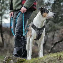 KURGO - Harnais pour chien Journey Air noir taille M