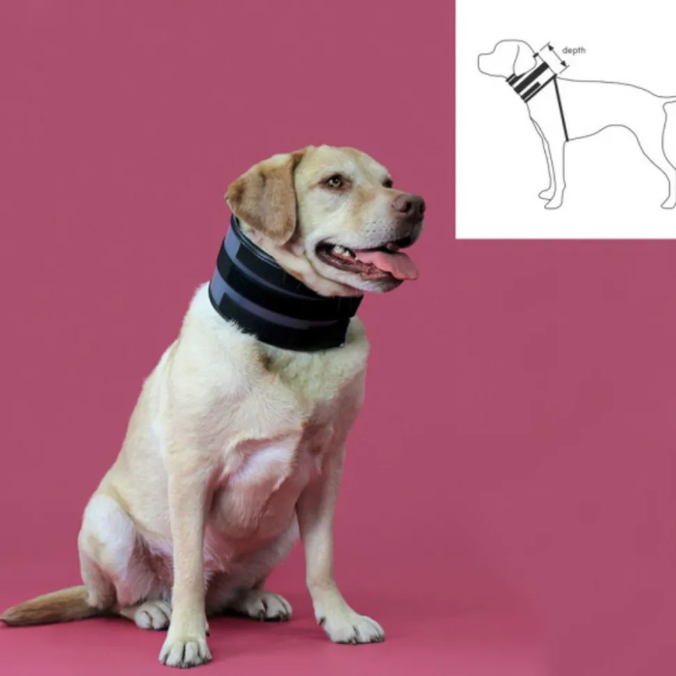 KVP - Collier cervical pour chiens noir (9-36 cm)